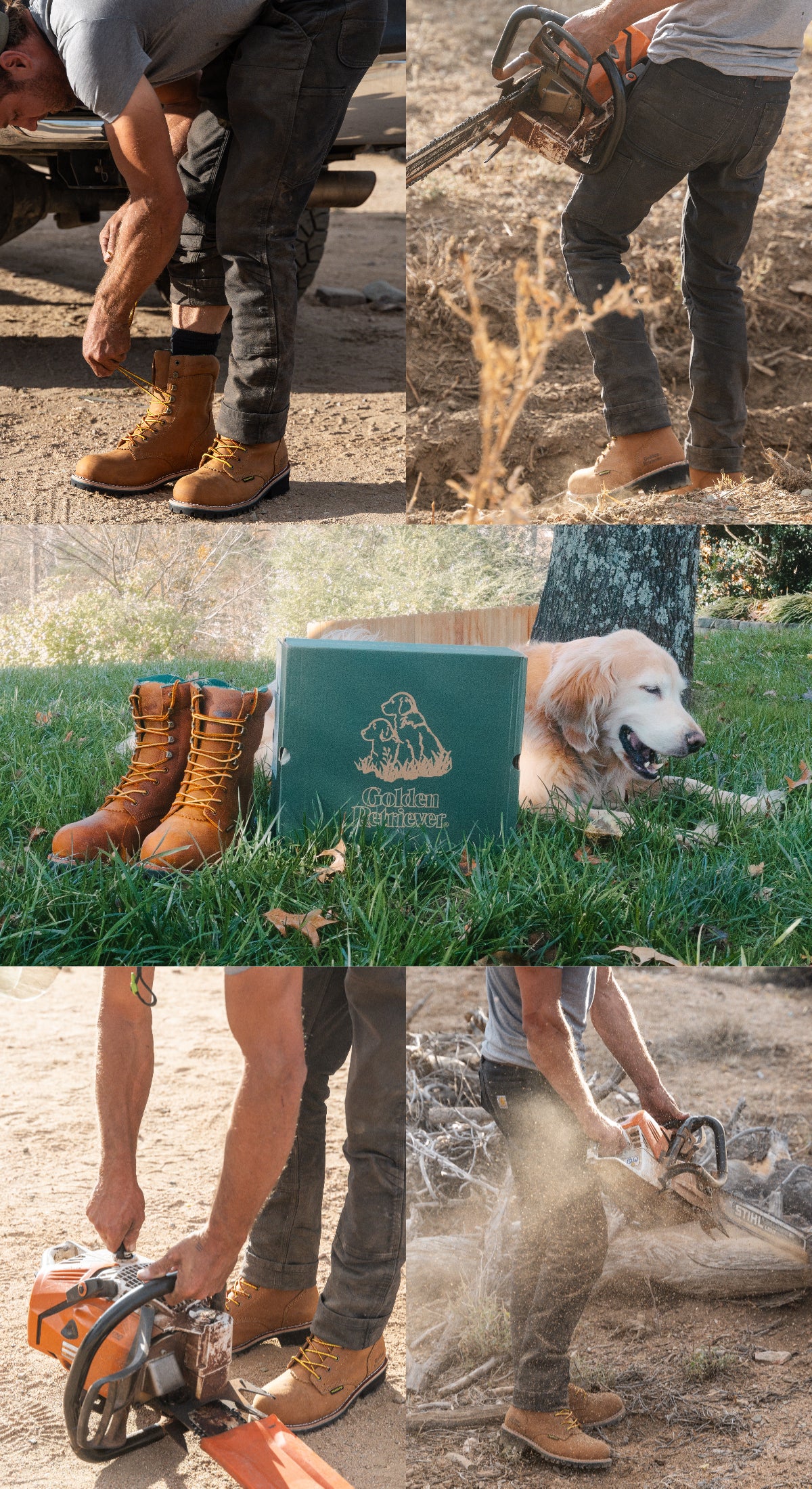 Titan G81594 – Golden Retriever