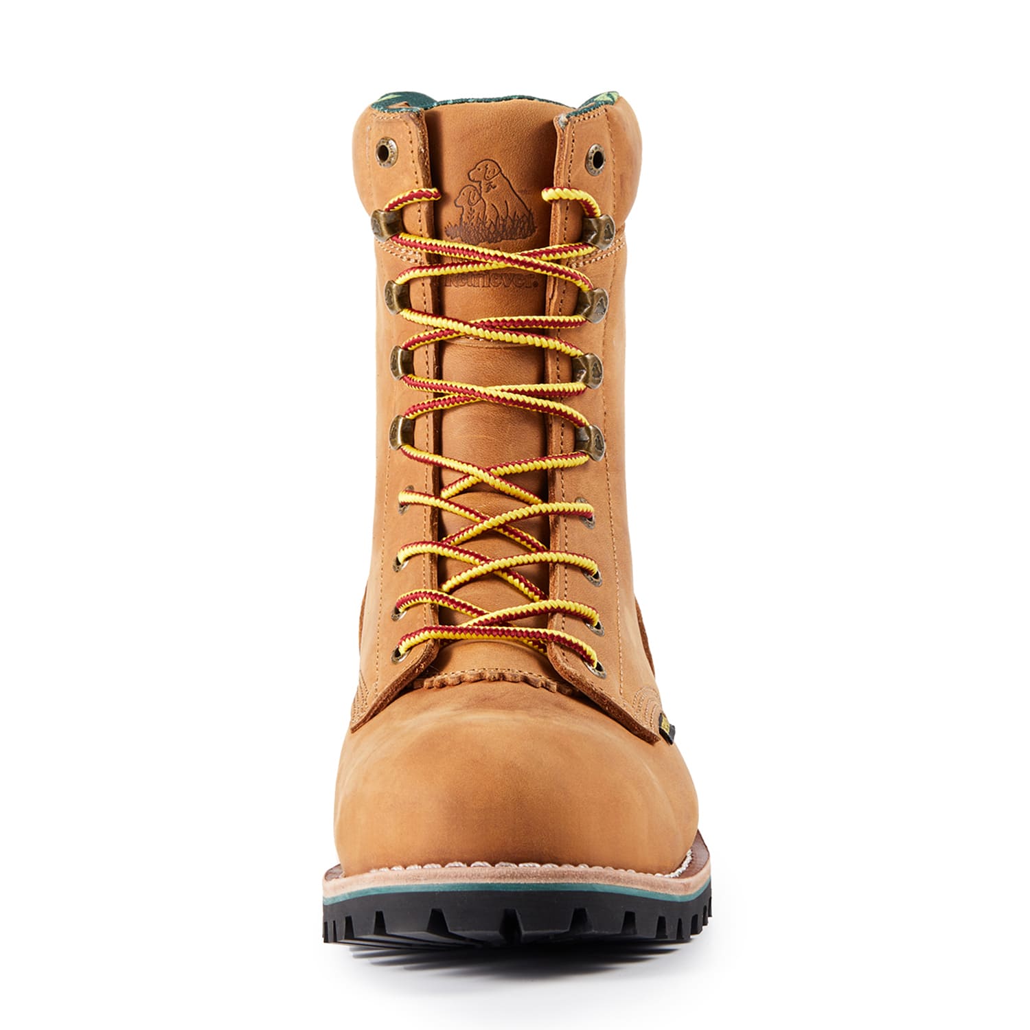 Titan G81594 – Golden Retriever