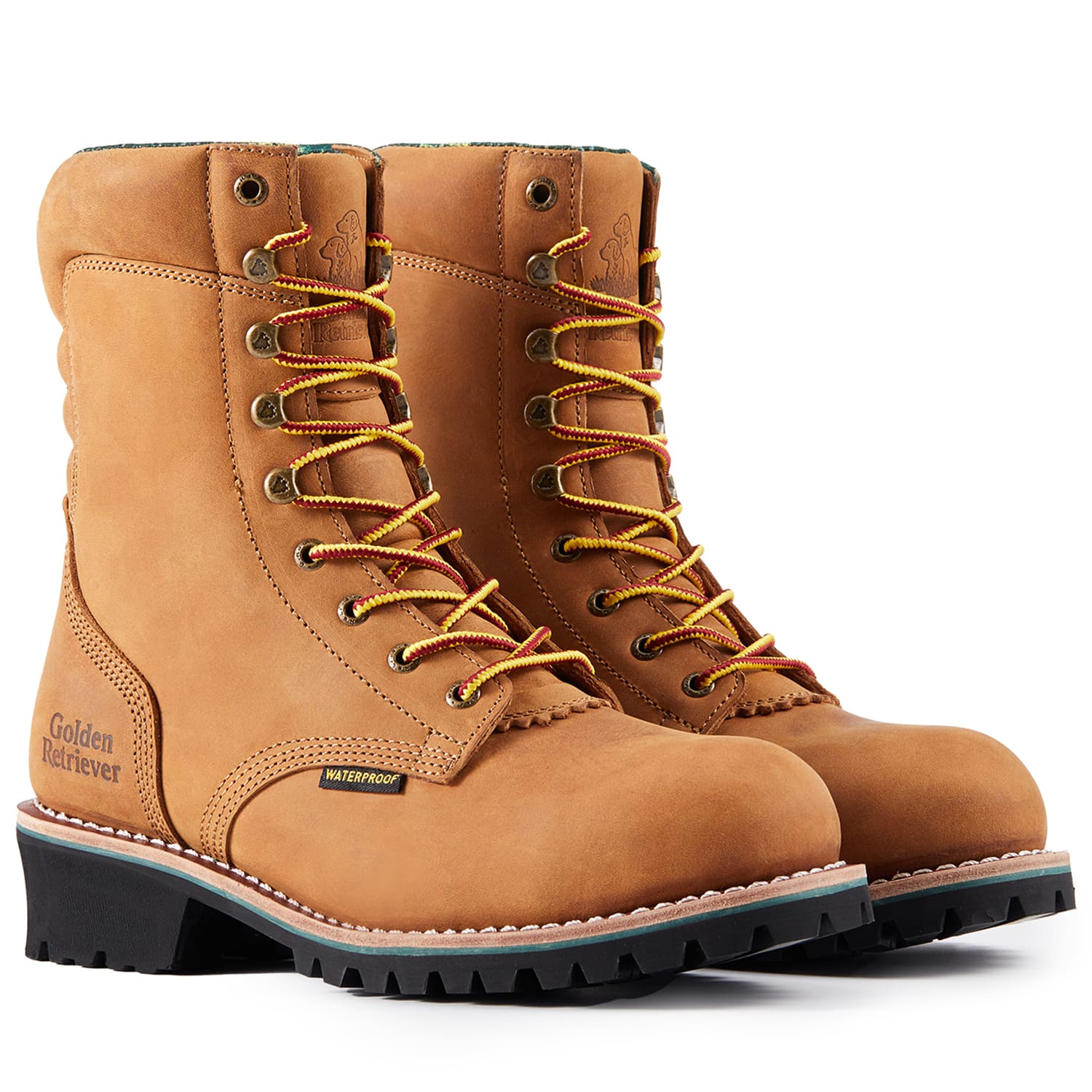 Titan G81594 – Golden Retriever