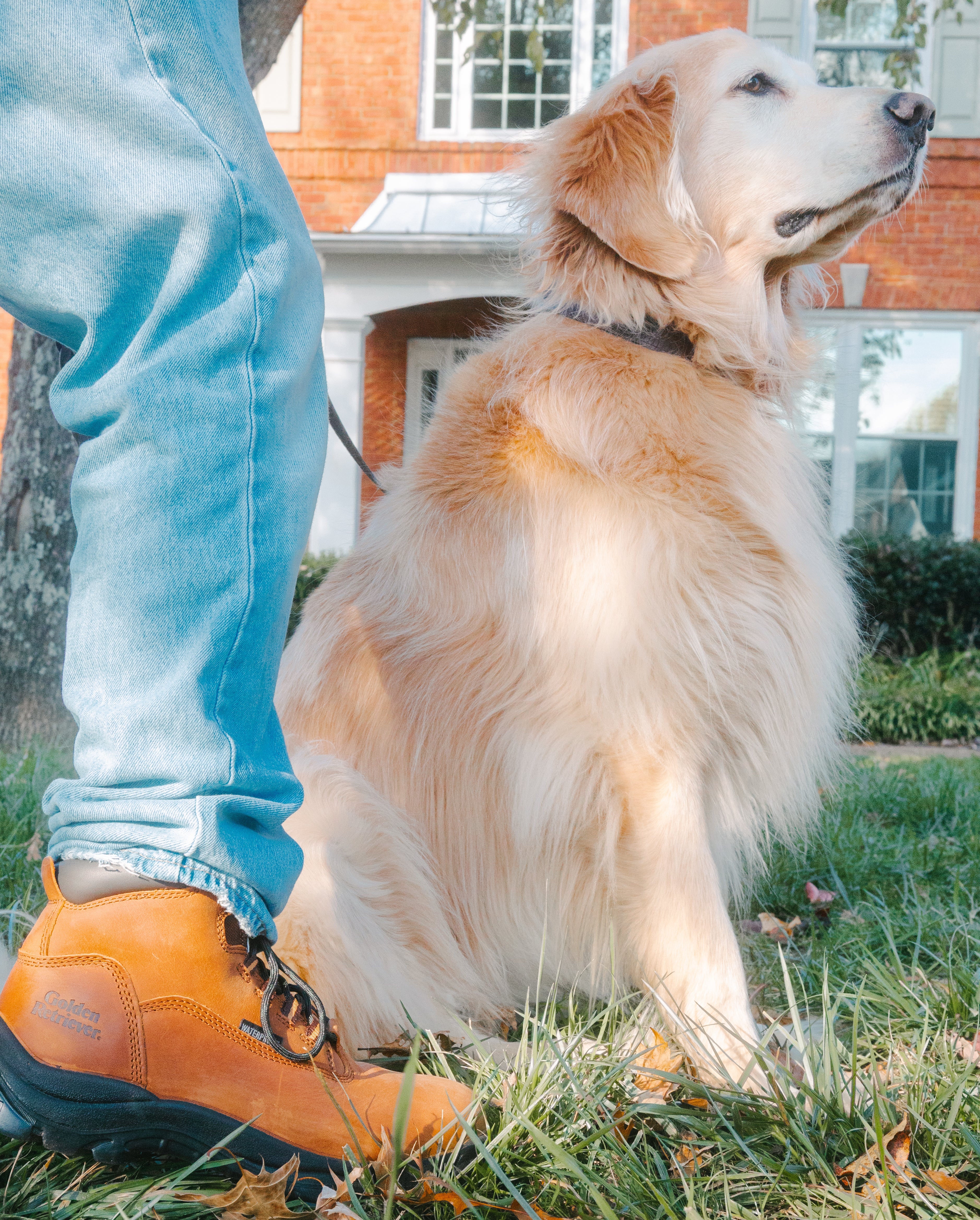 Golden Retriever Work Boots | Waterproof & Safety Toe Boots for Men